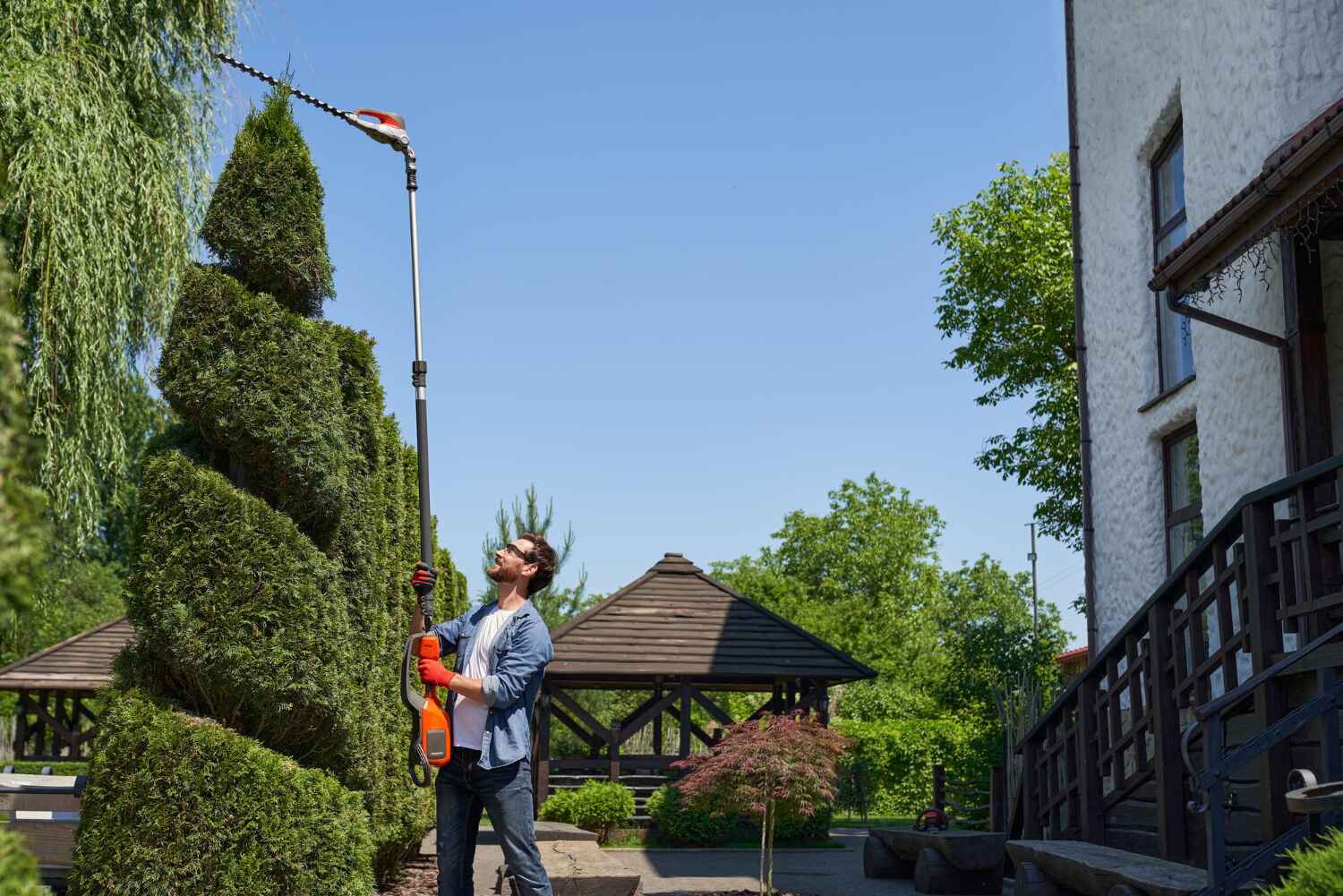 Residential Tree Removal in Hunters Creek Village, TX